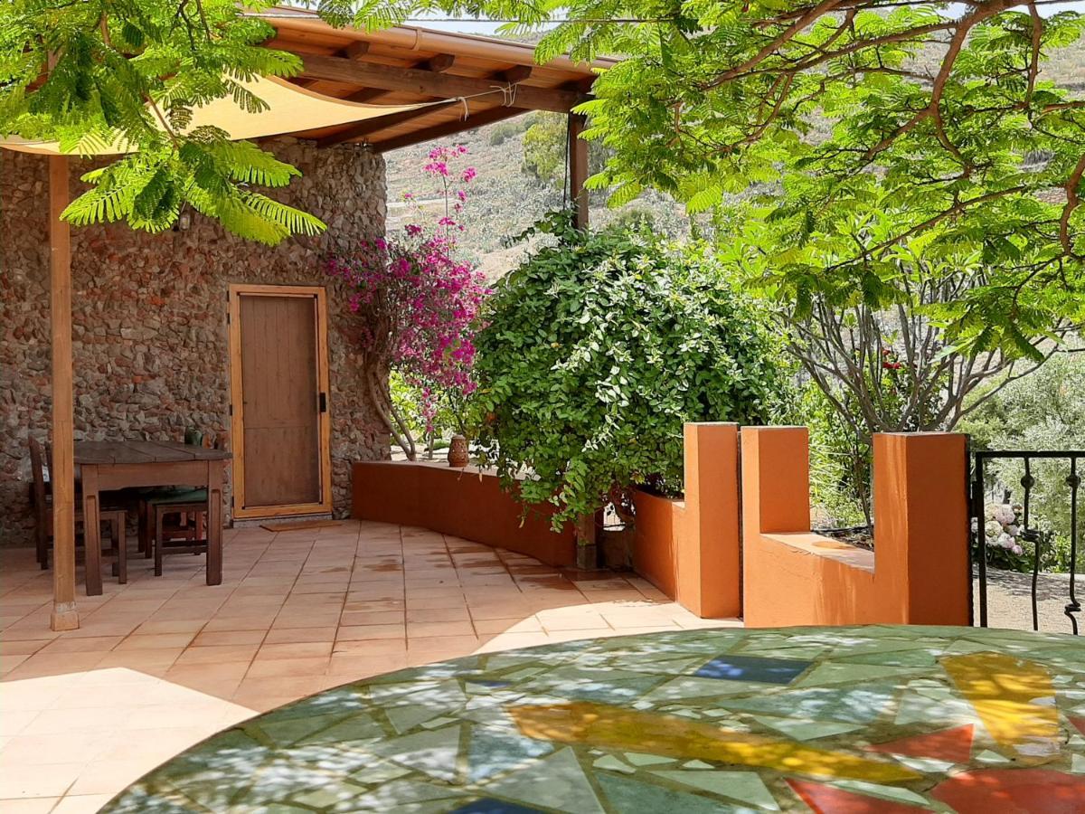 Peaceful House Set On A Vineyard & Work Friendly Villa Valsequillo de Gran Canaria Eksteriør billede