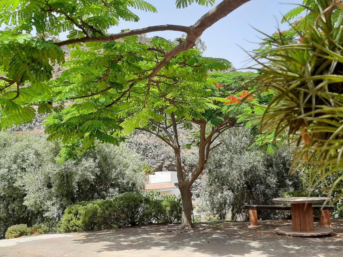 Peaceful House Set On A Vineyard & Work Friendly Villa Valsequillo de Gran Canaria Eksteriør billede