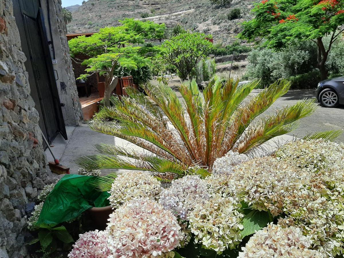 Peaceful House Set On A Vineyard & Work Friendly Villa Valsequillo de Gran Canaria Eksteriør billede