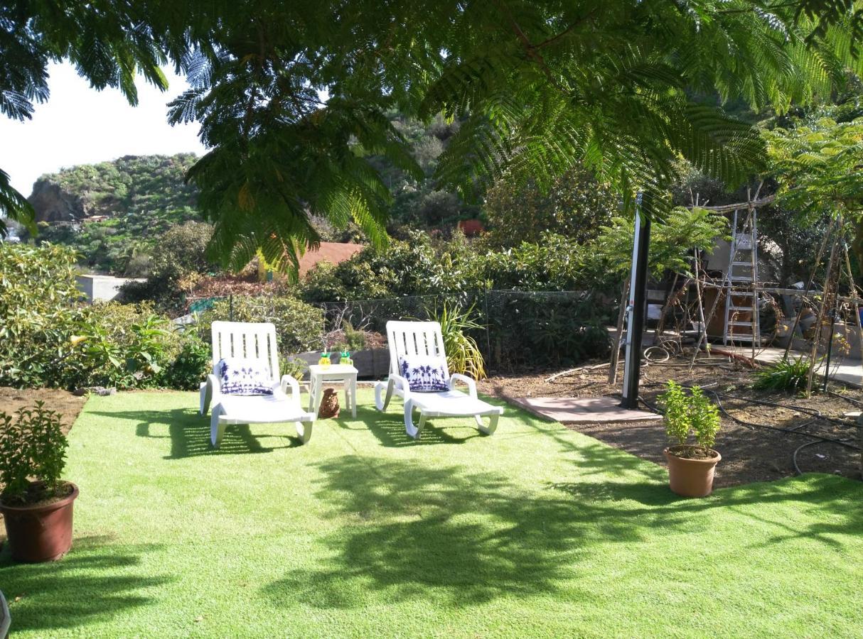 Peaceful House Set On A Vineyard & Work Friendly Villa Valsequillo de Gran Canaria Eksteriør billede